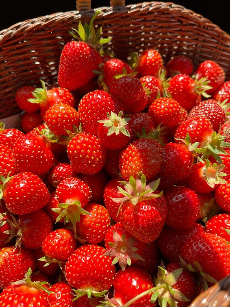 Rustic Berries Galore: Countryside Orchard Treasures