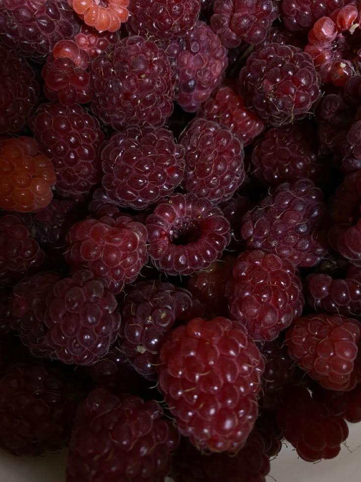 Nature's Berry Basket: Wholesome Harvest Delights