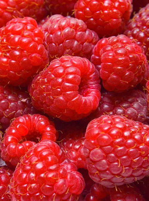 Farm-Fresh Berries Bliss: Handpicked Nature's Sweets